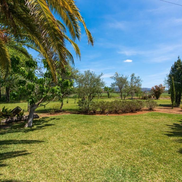 Cal Moliner - Four-Bedroom Villa - 49