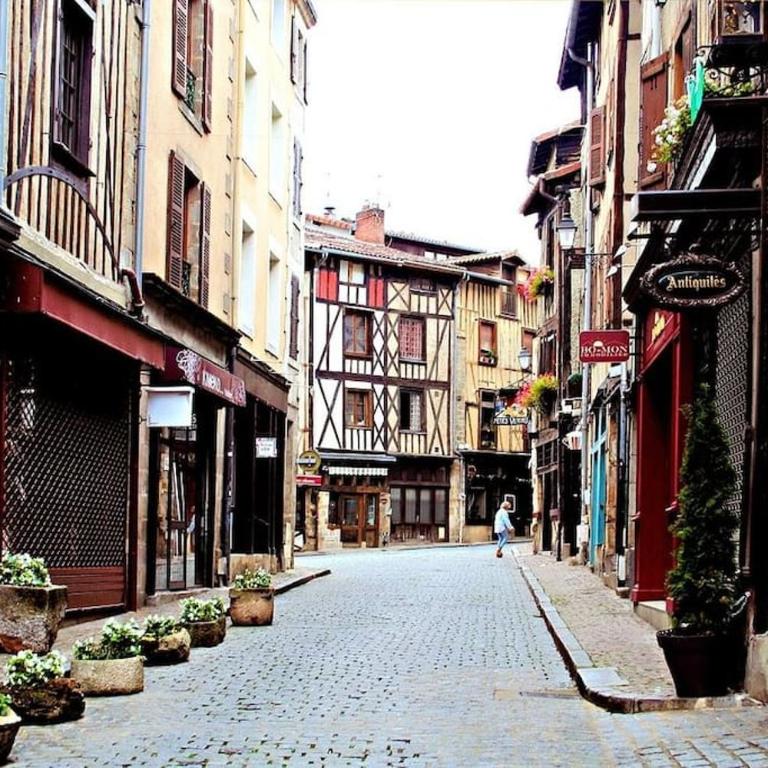 Au Cœur De Limoges - Appartement 1 Chambre - 8