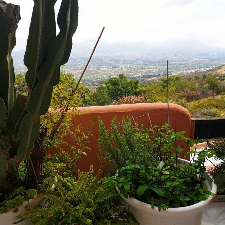 Marbella Hills Private Luxury Suite and Terrace - Suite Junior con balcón - 21
