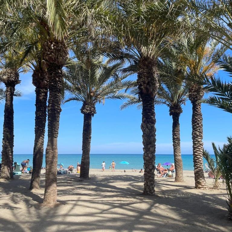 Little Sailboat - Apartamento centro de Torre del Mar - Three-Bedroom Apartment - 19