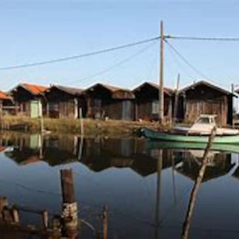 Appartement agreable sur le bassin d'arcachon 69 BIS rue de la Liberté - Appartement 1 Chambre - 13
