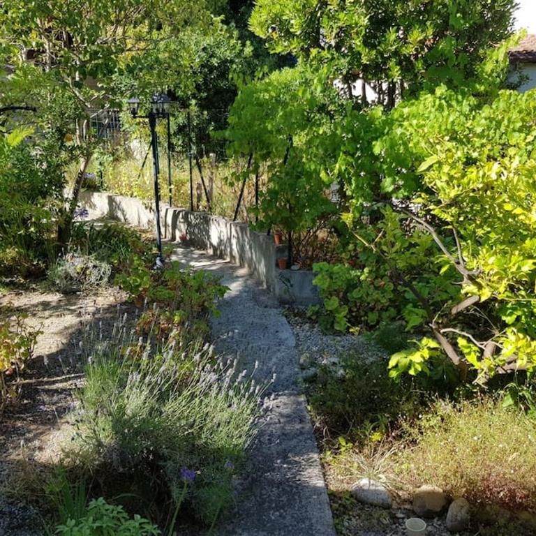 Oasis de sérénité avec vue mer imprenable - Appartement 1 Chambre - 11
