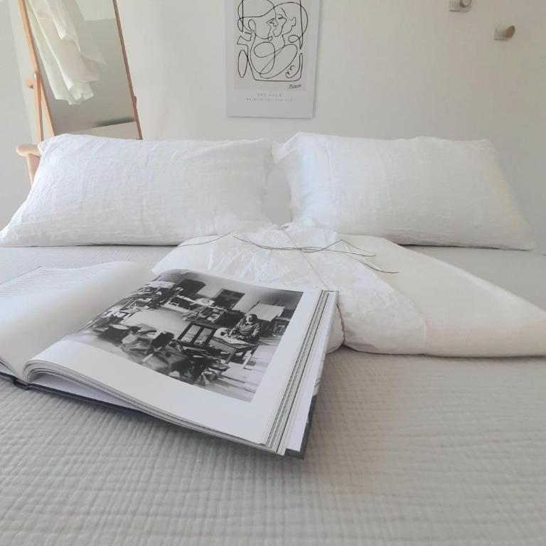 Ducale interno 5 - Appartamento con 2 Camere da Letto - 14