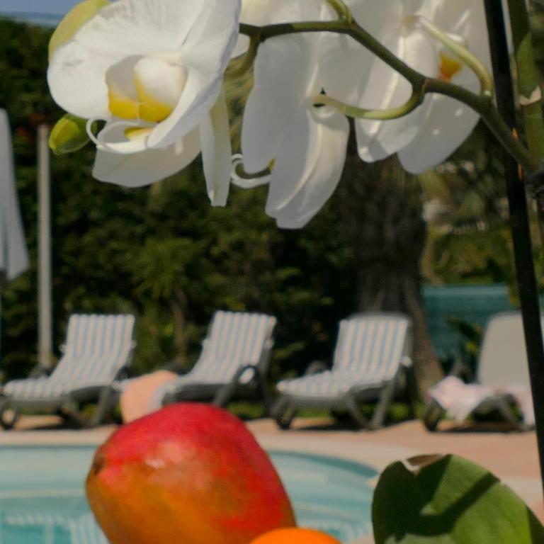 Villa Alessia - Suite 2 Chambres - 41