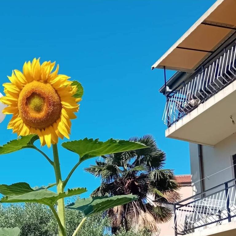 Sea and Sunshine 100m to beach,free parking,centar,View - Apartman sa Pogledom na More - 16