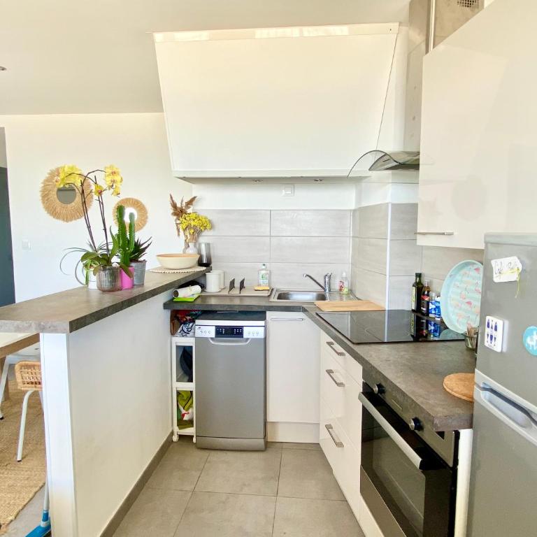 T2 Beach Paradise Vue Mer Palavas - Appartement 1 Chambre - 6