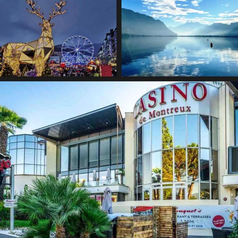 Maison avec 2 espaces separes sur 2 niveaux distincts, Montreux,Festivals,Chateaux de Chillon,FreddieMercury,Casino,lac leman plages,montagne, Pour voyageurs souhaitant partager une maison familiale et economique, 15 minutes a pied du centre en descente - Apartment mit 1 Schlafzimmer - 5