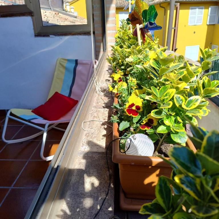 La casa di Mi Mà - Appartamento con Terrazza - 7