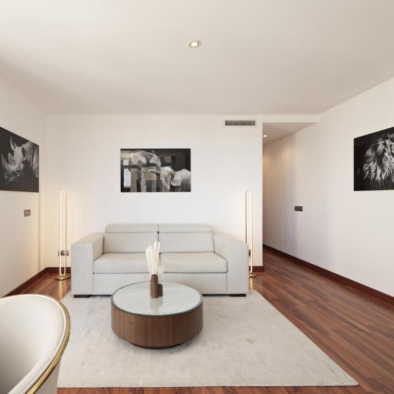 Luxury apartments in Barrio Palacio - Two-Bedroom Apartment with Mountain View - 10