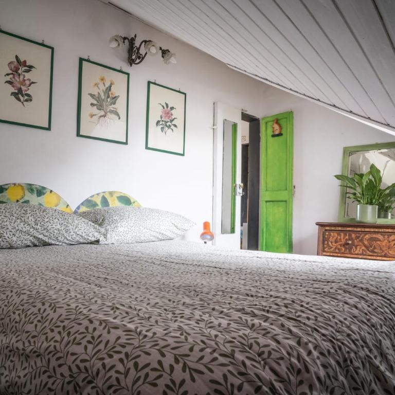 Casetta Raperonzolo Acquario - Genova Centro Storico - Appartamento con 1 Camera da Letto - 12