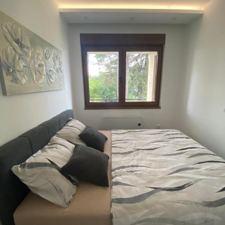 Casa Anja Zlatibor - One-Bedroom Apartment - 1