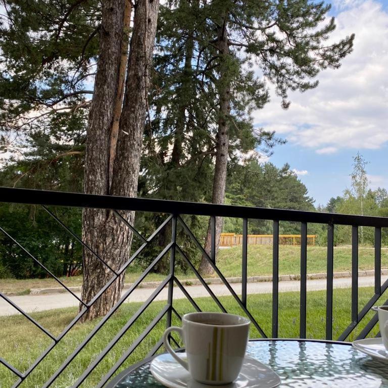 Casa Anja Zlatibor - One-Bedroom Apartment - 6