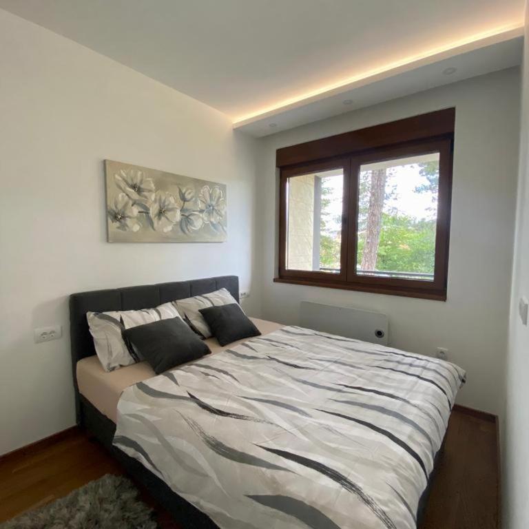 Casa Anja Zlatibor - One-Bedroom Apartment - 8