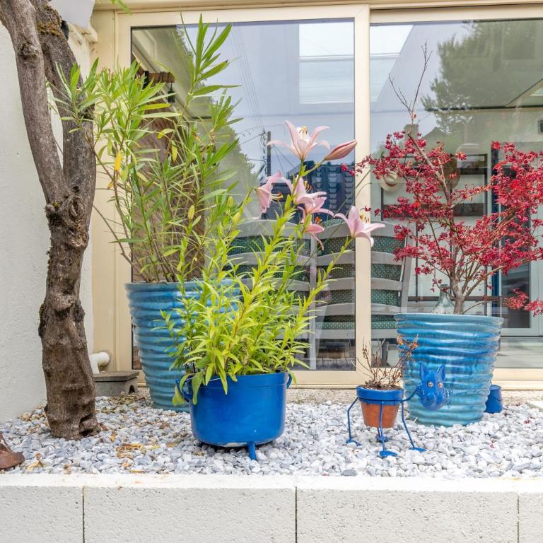 Le Troglogite Mignon - Maison et Jardin - Casa con 3 Camere da Letto - 8
