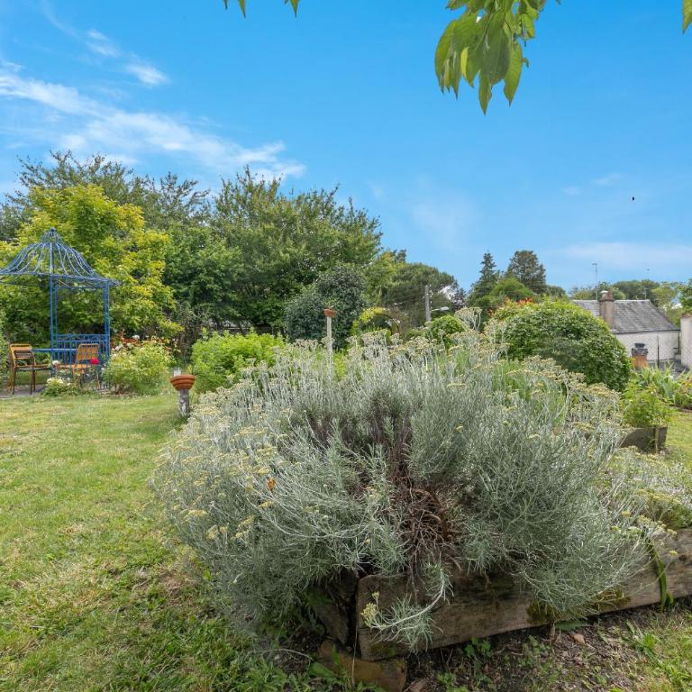 Le Troglogite Mignon - Maison et Jardin - Casa con 3 Camere da Letto - 32