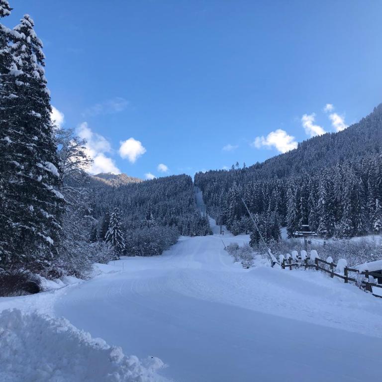 Apartment RELAX Bad Kleinkirchheim - Apartment mit 2 Schlafzimmern - 46
