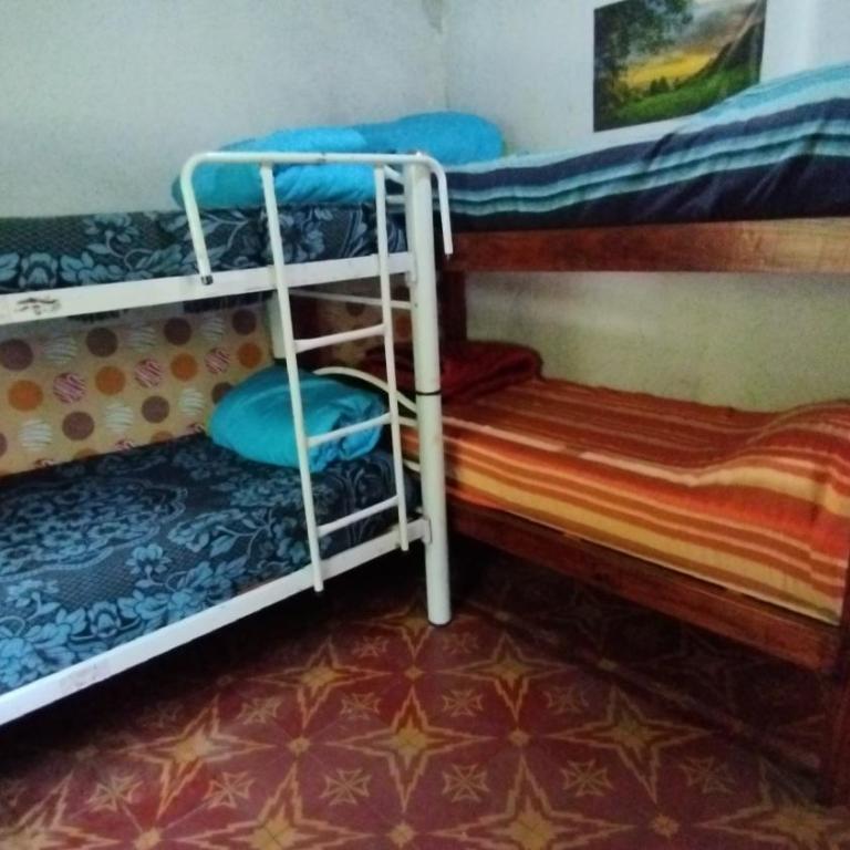 DCH Hostel Backpaquers - Cama en habitación compartida mixta de 4 camas - 2