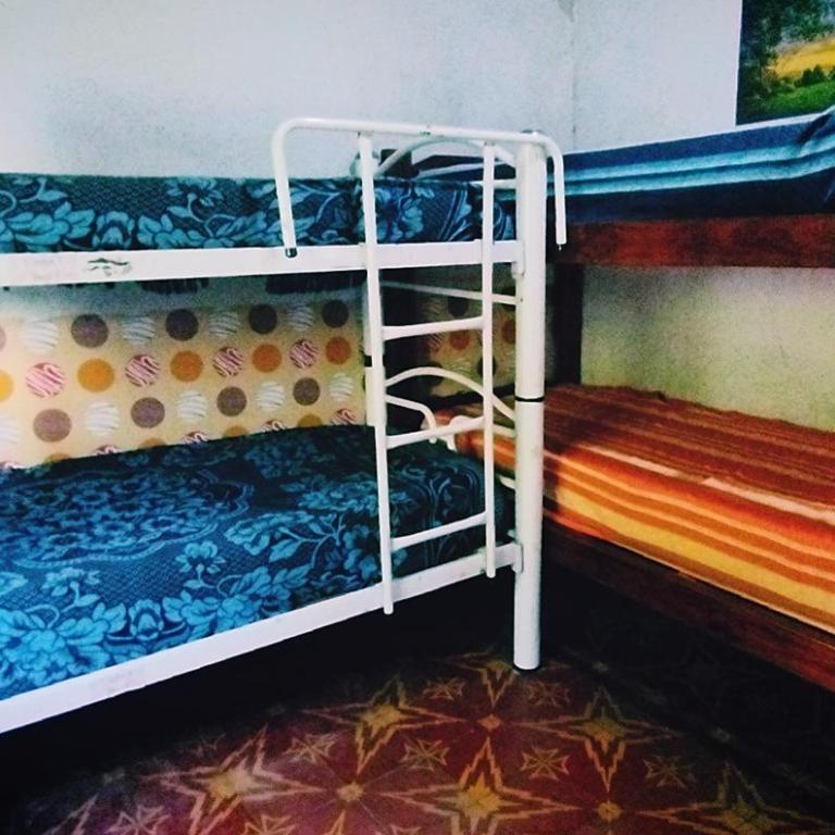 DCH Hostel Backpaquers - Cama en habitación compartida mixta de 4 camas - 3