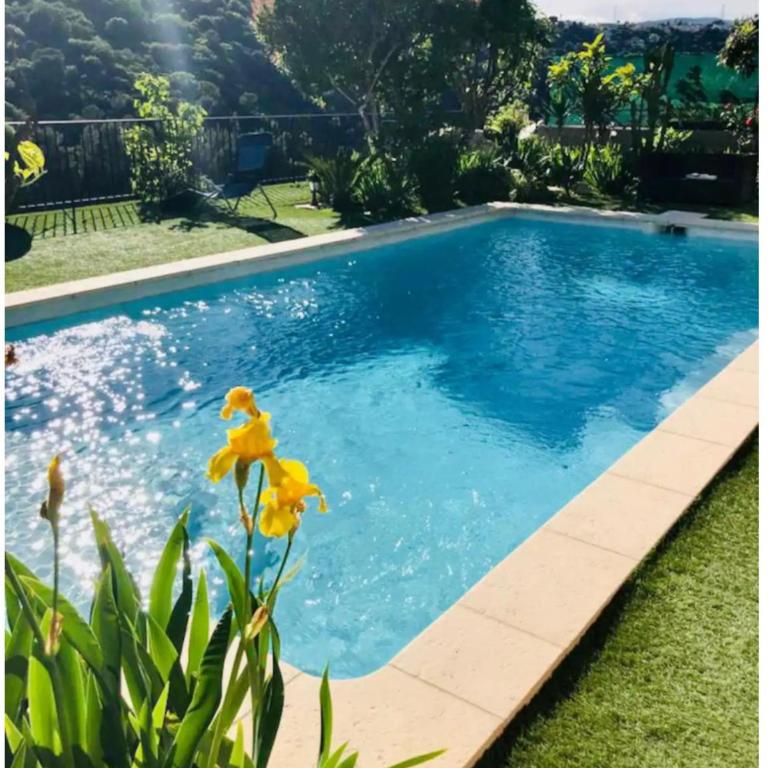 Nissa la bella, Piscine et vue mer - Appartement 1 Chambre - 1