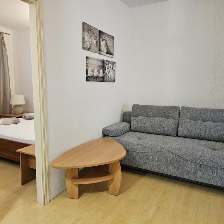 Apartman Zoran - One-Bedroom Apartment - 4