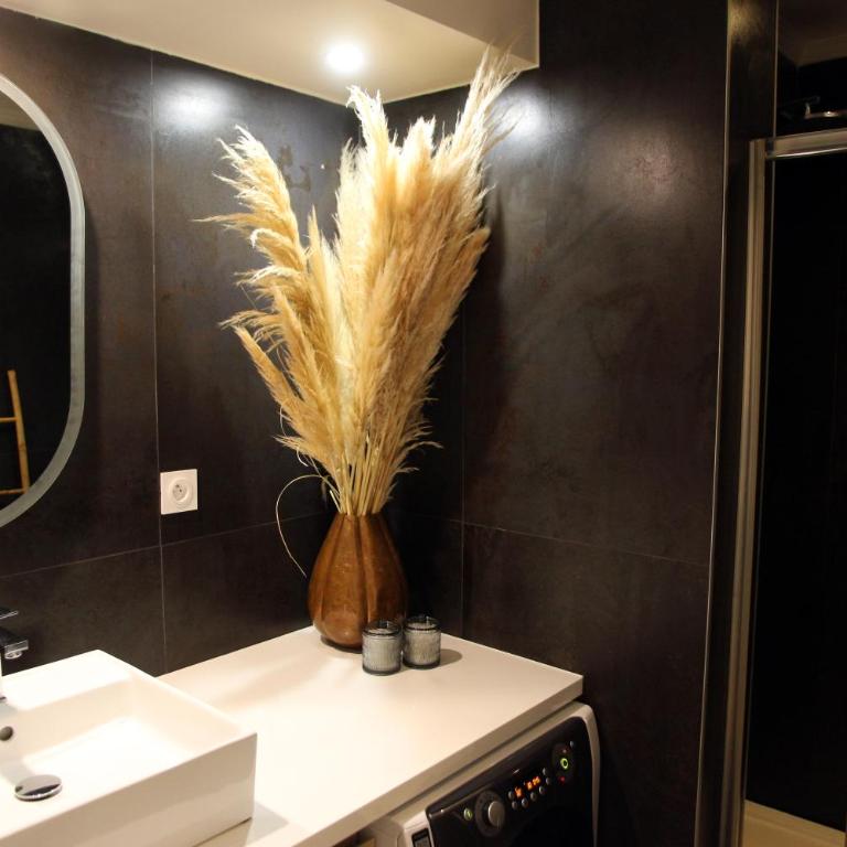 Le Jardin Secret - Balnéo & SPA - Appartamento con 1 Camera da Letto - 11