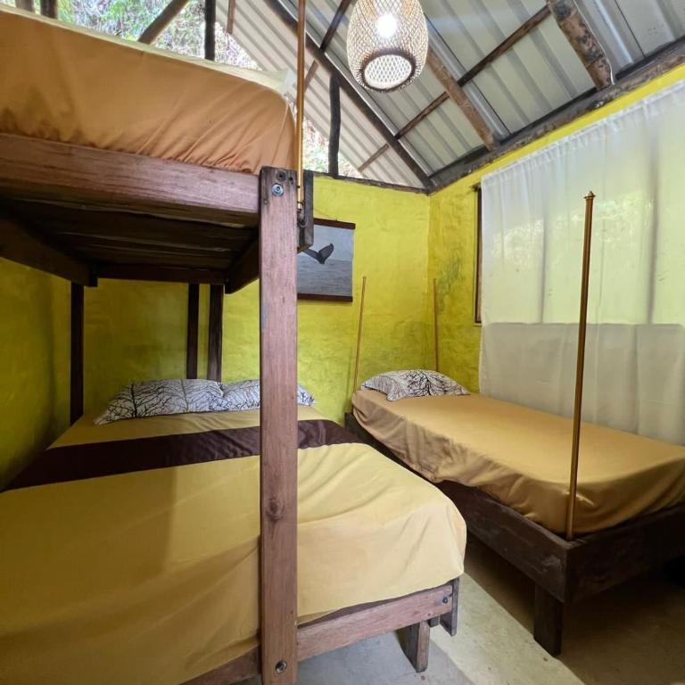Ecolodge el Arca Bahia Solano - Habitación Cuádruple Económica - 1