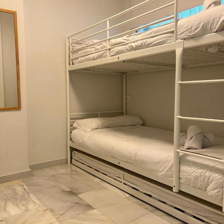 Delphinhaus - Apartamento de 2 dormitorios - 11