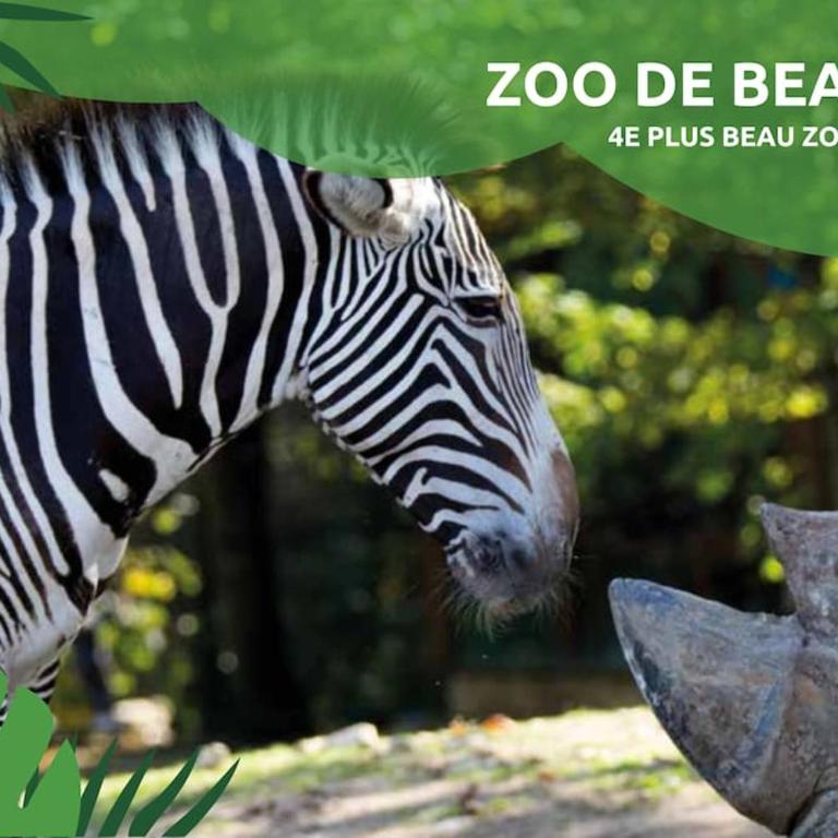 Savannah - 6-8 - Jacuzzi - Zoo de Beauval - Casa con 2 Camere da Letto - 21