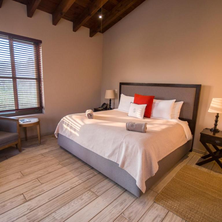 Viñedos San Lucas - Deluxe Suite - 10