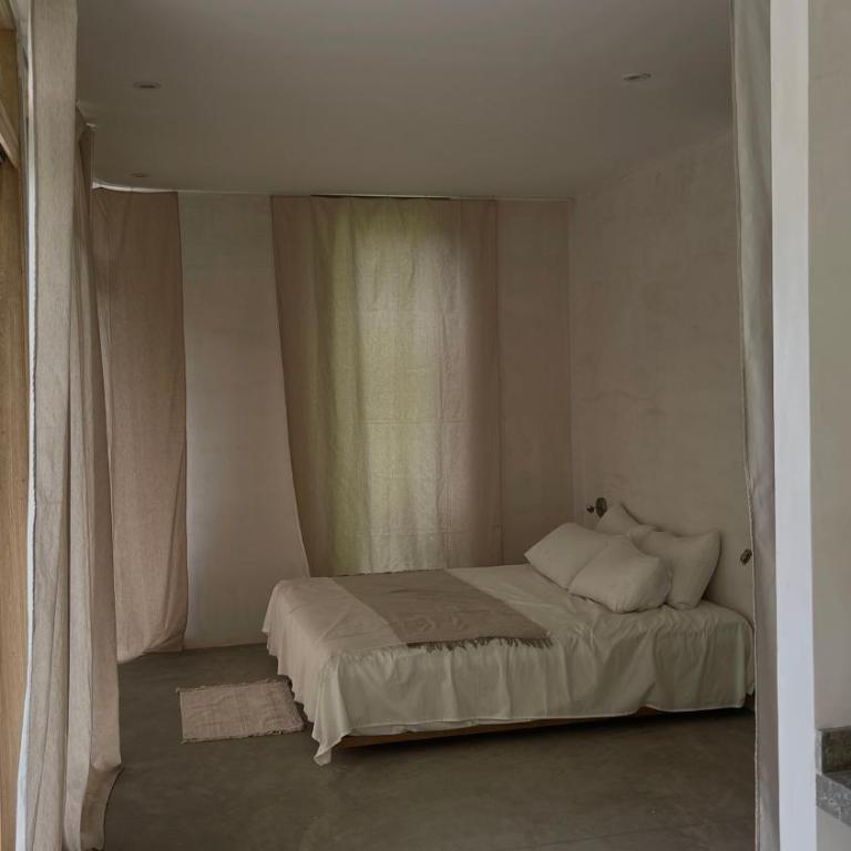 Raíces, The Jungle Penthouse - Casa con 1 dormitorio - 2