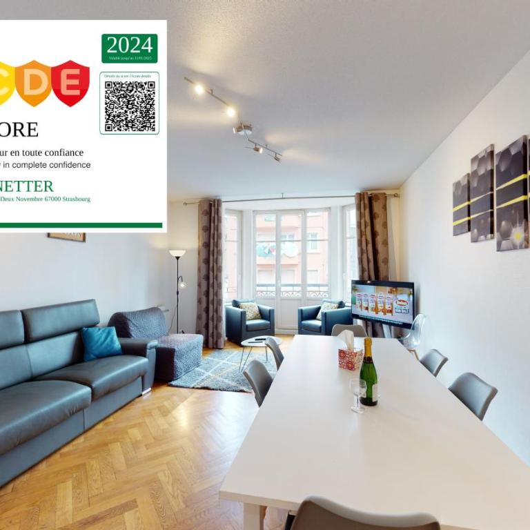 Strasbourg Appart Rue du 22 Novembre - Apartamento Netter de 2 dormitorios y sala de estar - 1