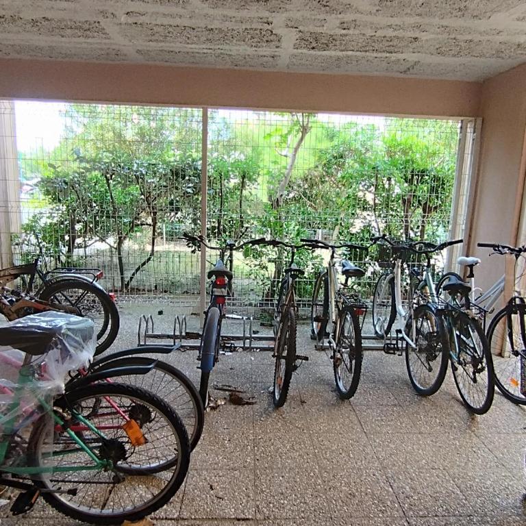 Confortable T2 à Narbonne Plage - 28m2, Proche Mer, 4 Pers, Tout Équipé - FR-1-795-9 - Apartment - 16