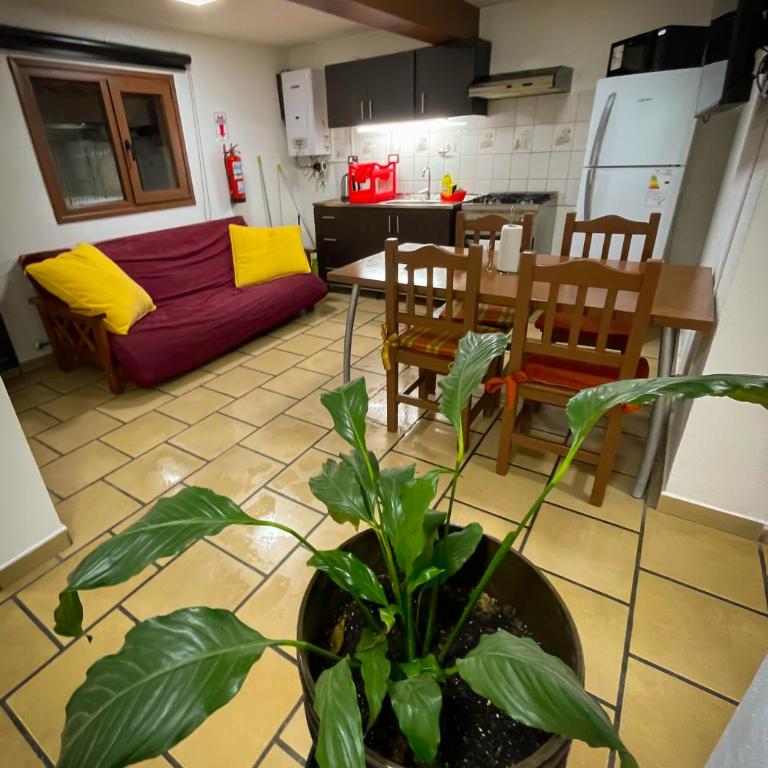 Oreades - Apartamento de 1 dormitorio - 1