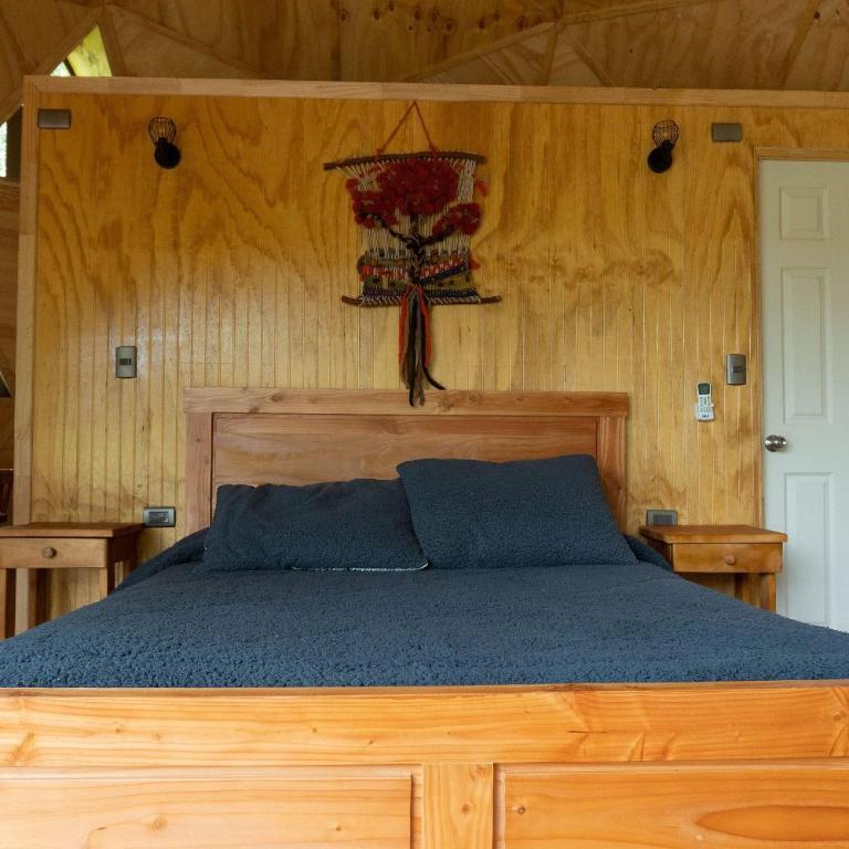 Hermoso domo para parejas, en bosque nativo + tinaja privada - Deluxe Bungalow - 4
