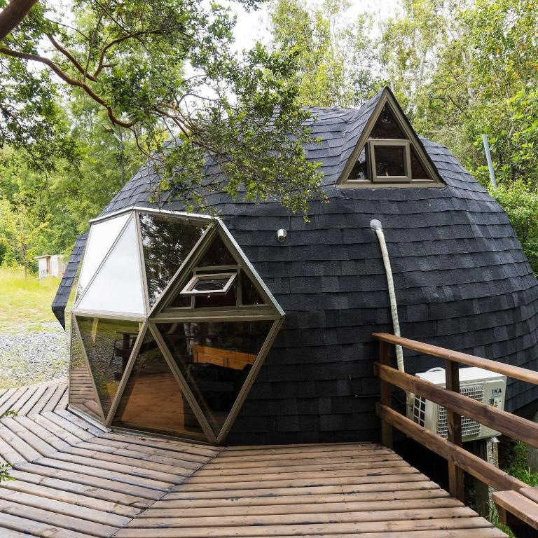 Hermoso domo para parejas, en bosque nativo + tinaja privada - Deluxe Bungalow - 6