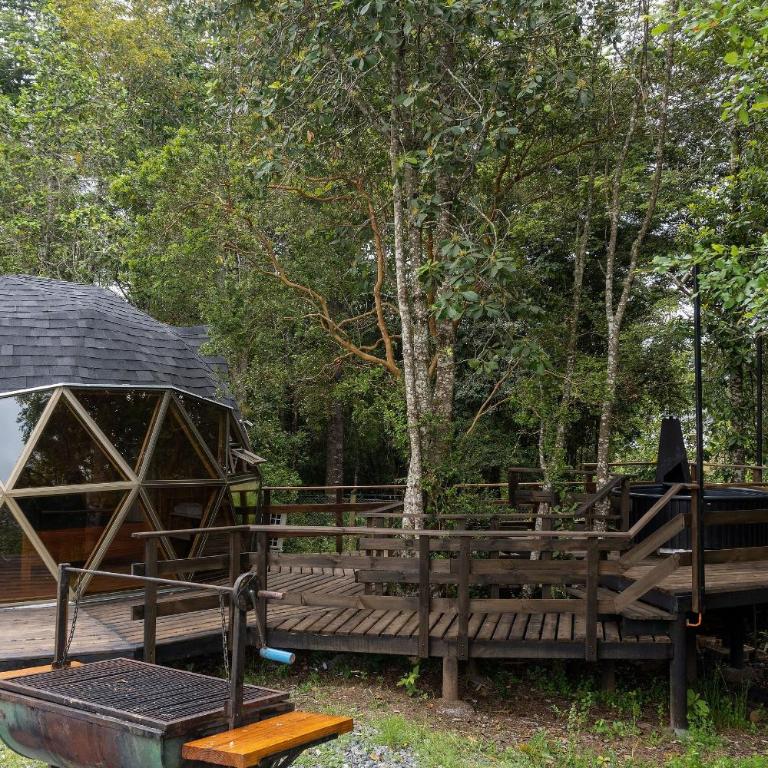 Hermoso domo para parejas, en bosque nativo + tinaja privada - Deluxe Bungalow - 8