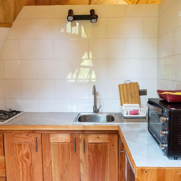 Hermoso domo para parejas, en bosque nativo + tinaja privada - Deluxe Bungalow - 13