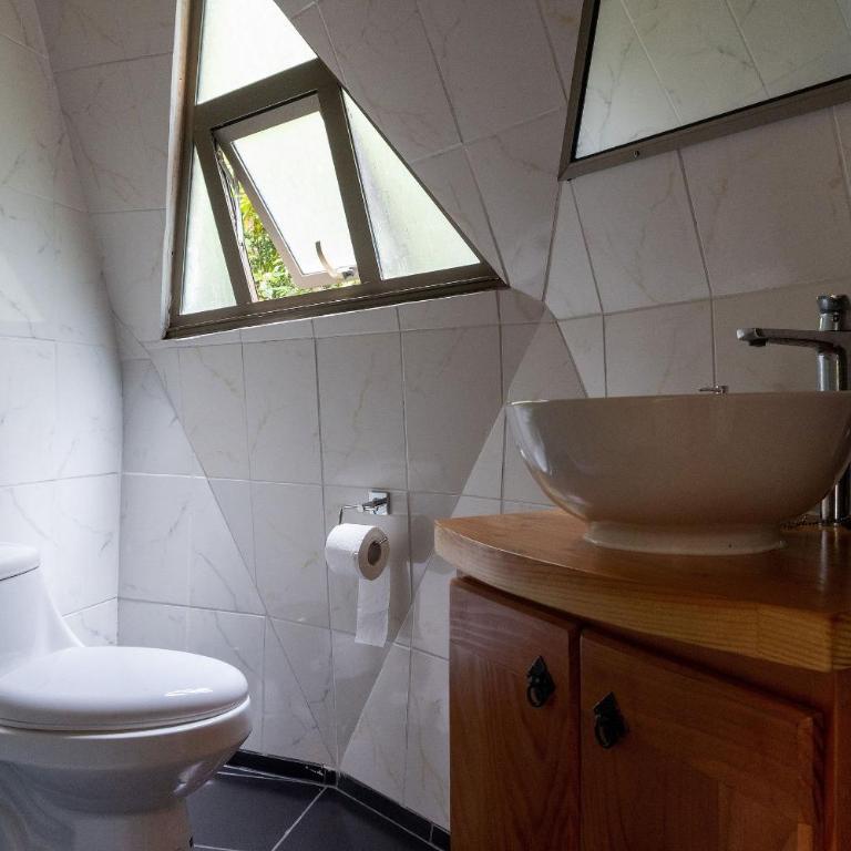 Hermoso domo para parejas, en bosque nativo + tinaja privada - Deluxe Bungalow - 16