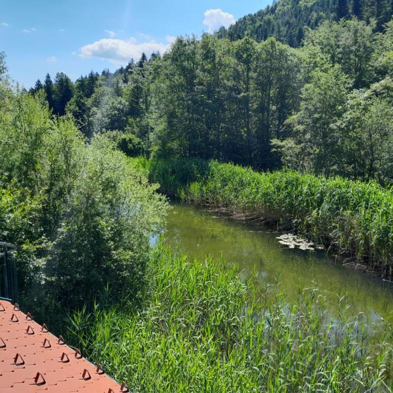 Gut Hinterklaus - Apartment - 9