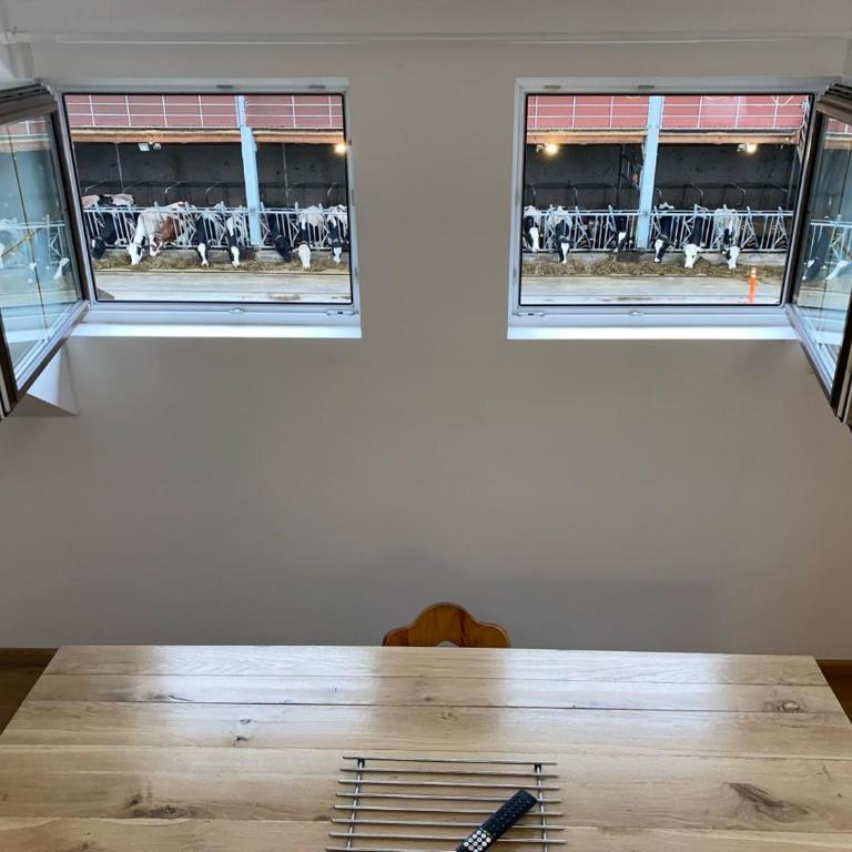 FriedlHof Kärnten Ferienwohnungen für bis zu 10 Personen - Apartment mit 3 Schlafzimmern und Bergblick - 8
