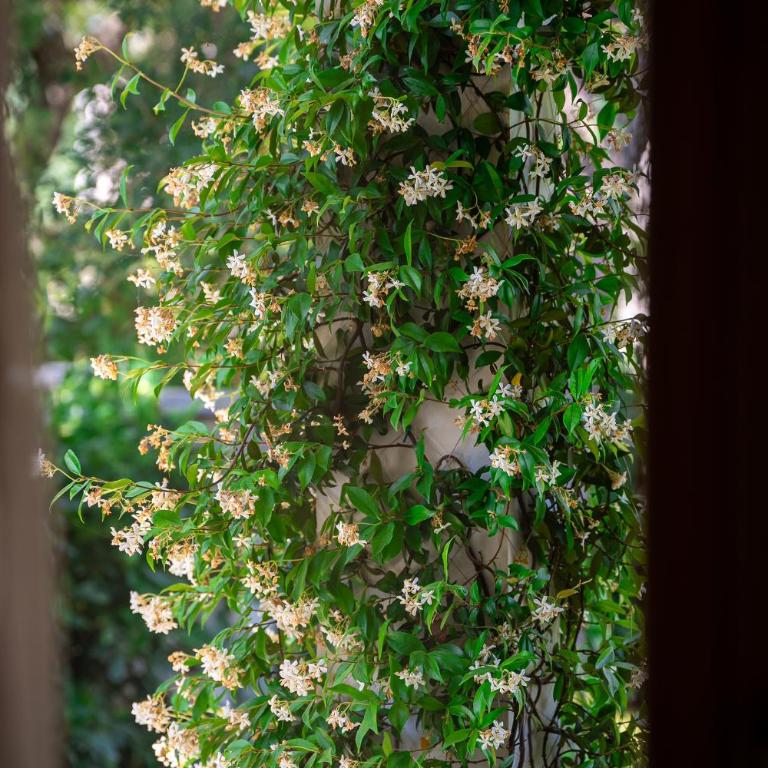 Villa Helena - Two-Bedroom House - 33