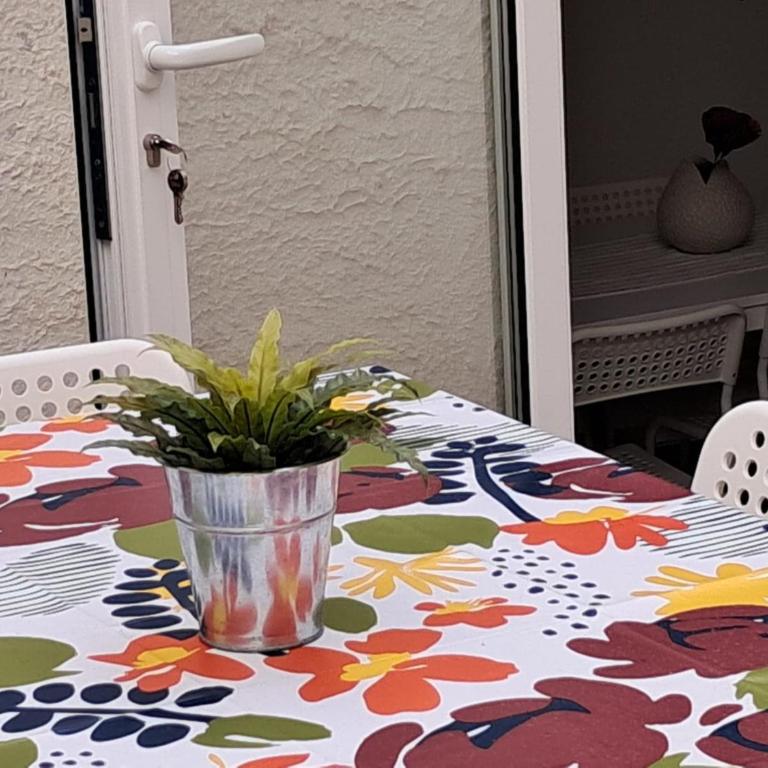 Nonna Jaca Apartment - One-Bedroom House - 22