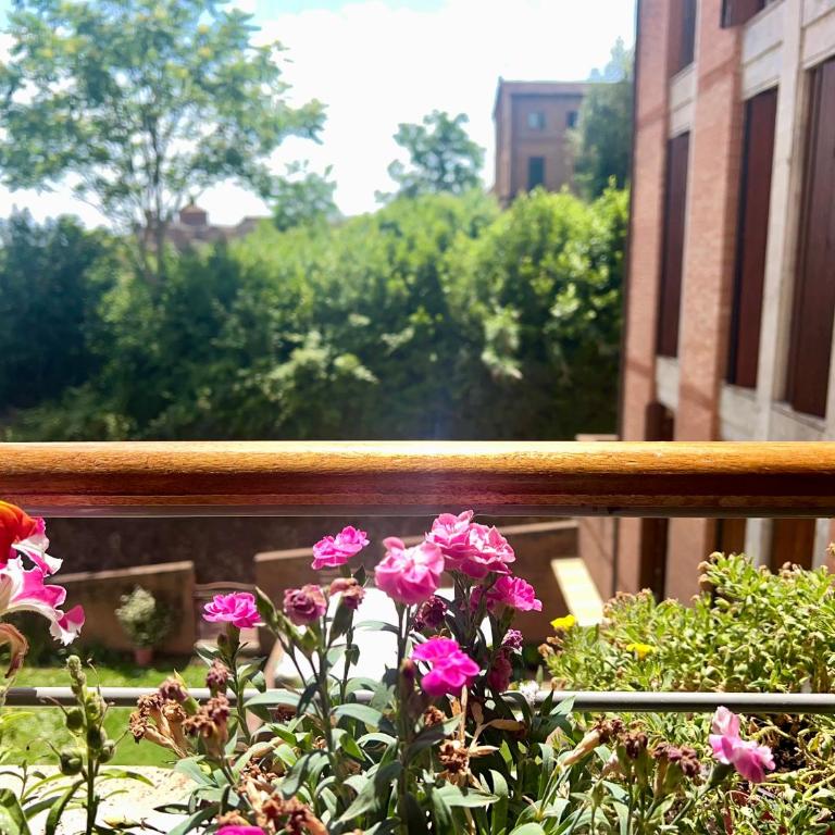 Provenzano Nest - One-Bedroom Apartment - 48