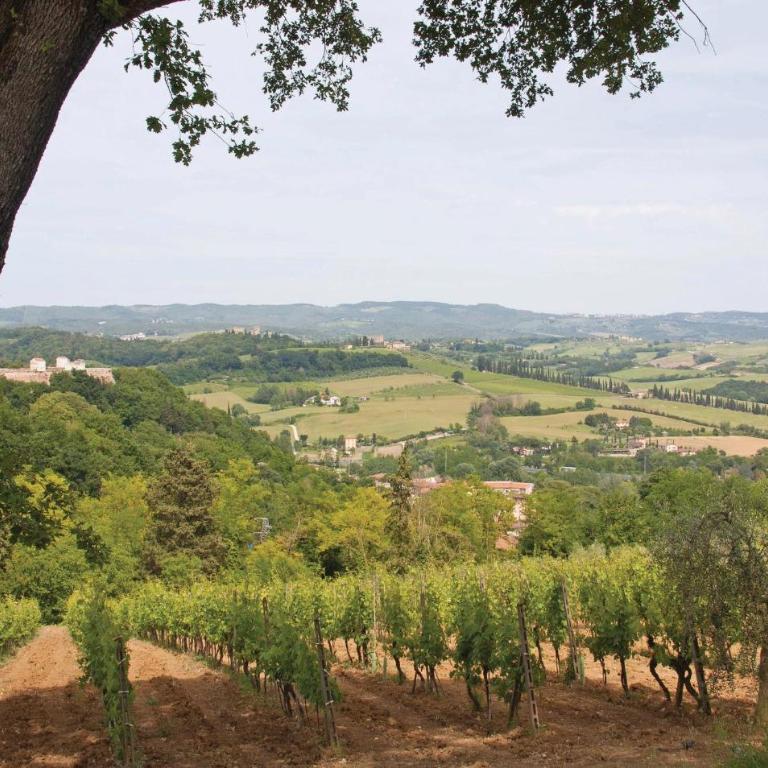 Sanlucchese 1 - Casa Vacanze con 3 Camere da Letto - 23
