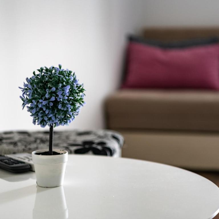 Nature View - One-Bedroom Apartment - 13