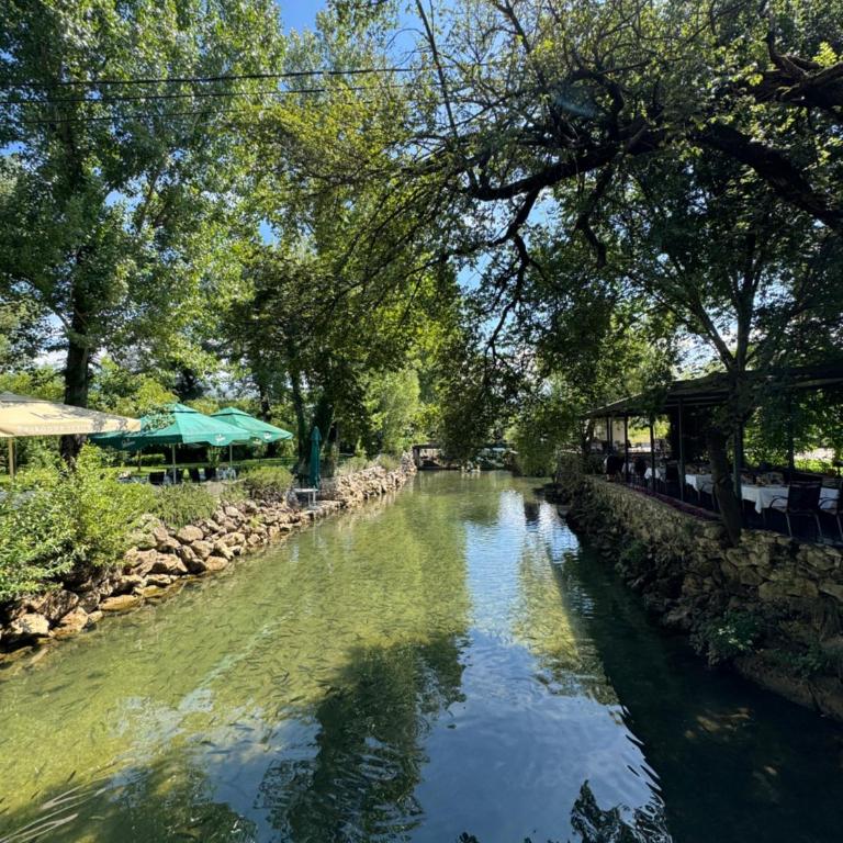 Nature View - One-Bedroom Apartment - 1