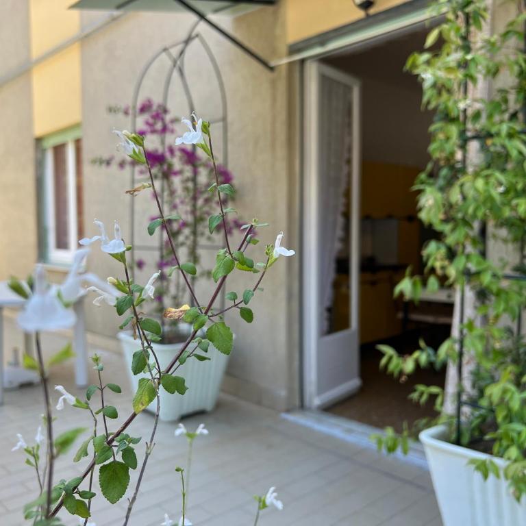 Alle Torri - Appartamento con 3 Camere da Letto - 23
