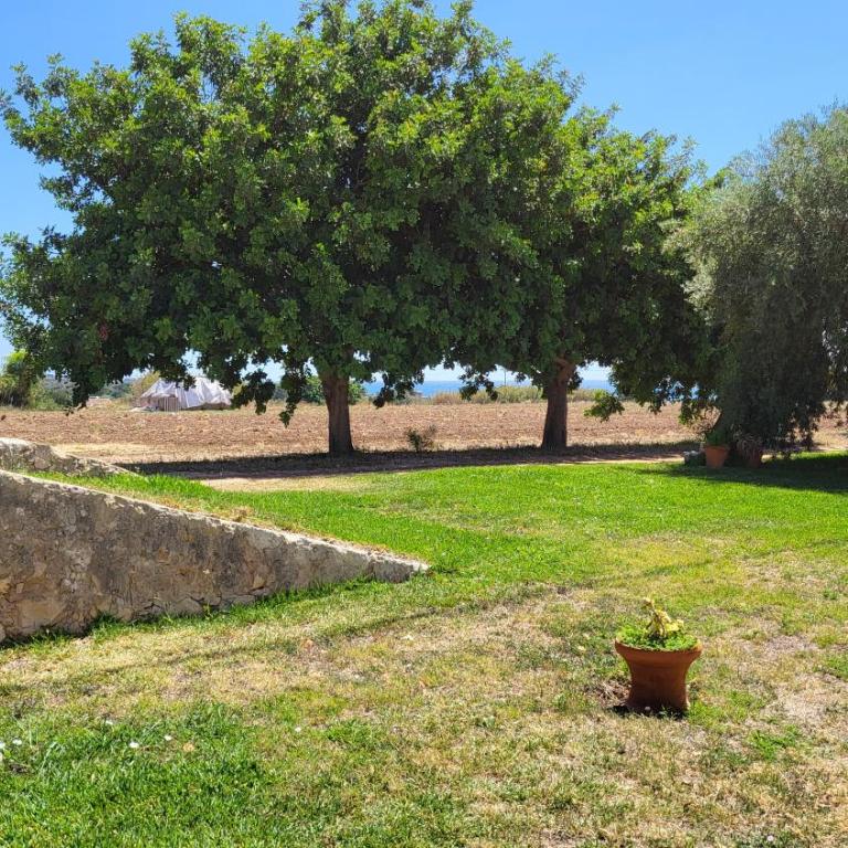 Agriturismo Masseria sul Mare - Camera Matrimoniale - 3