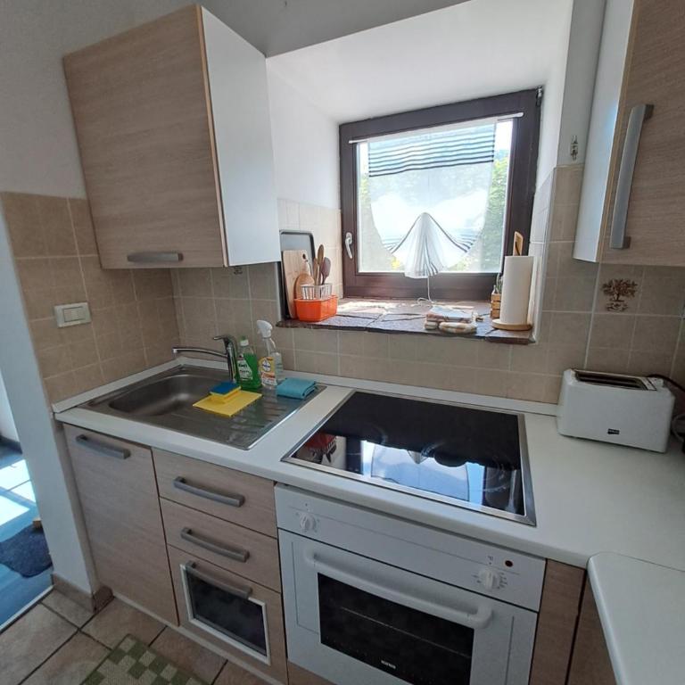 Burgerhof - Apartamento Estudio - 1