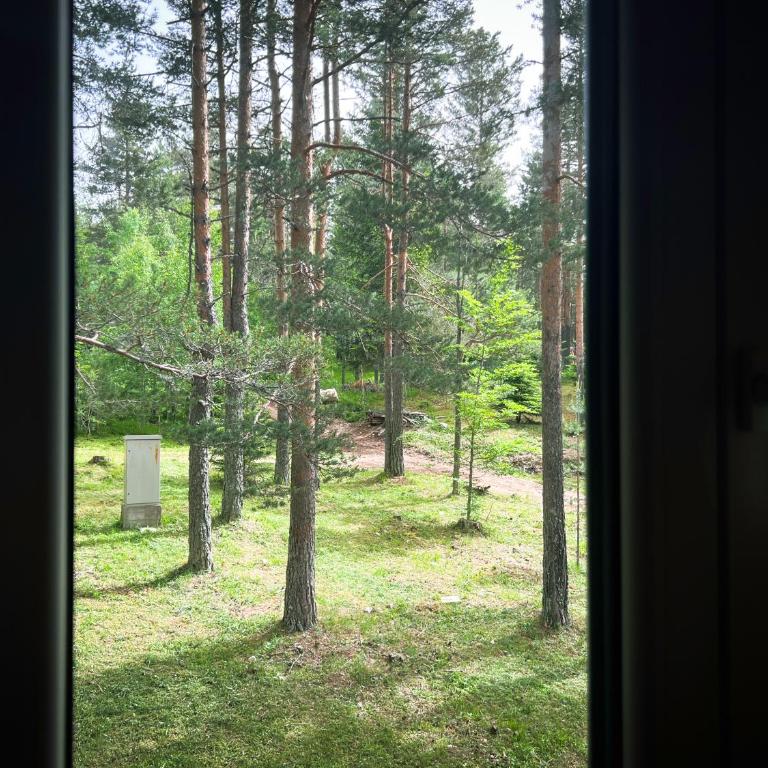 Villa Foresta - Three-Bedroom Apartment - 37